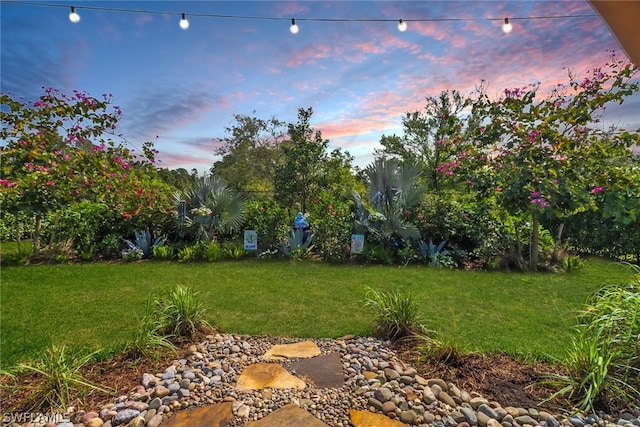 view of yard at dusk