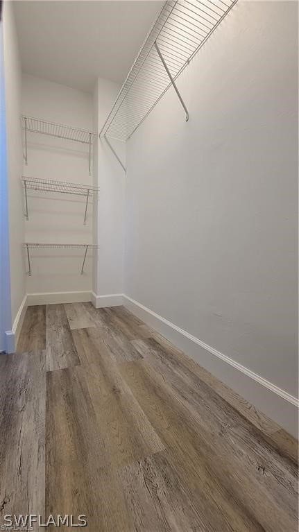 spacious closet with wood-type flooring