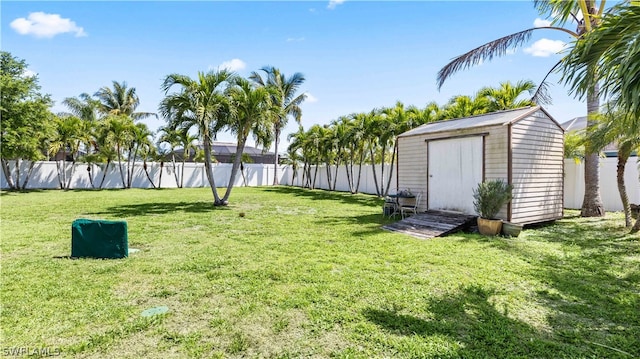 view of yard with a storage shed