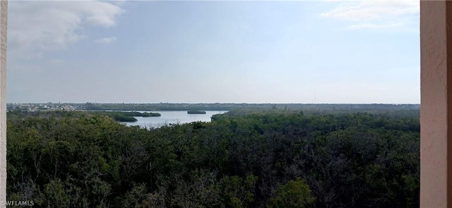 water view featuring a wooded view