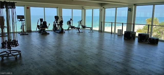 gym featuring plenty of natural light, dark wood-style flooring, and a water view