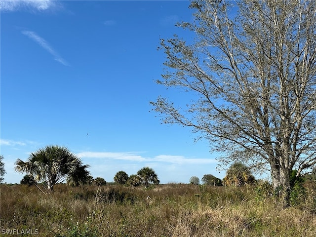 Listing photo 2 for 2nd Rd, Labelle FL 33935