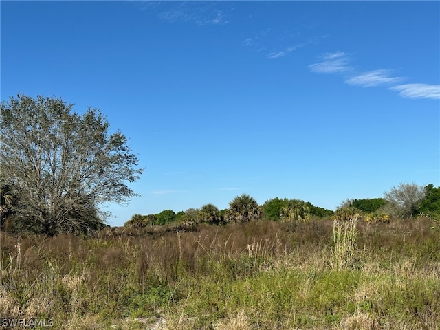 Listing photo 3 for 2nd Rd, Labelle FL 33935