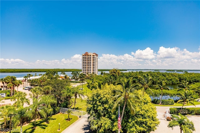 aerial view with a water view