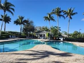 view of pool featuring a patio