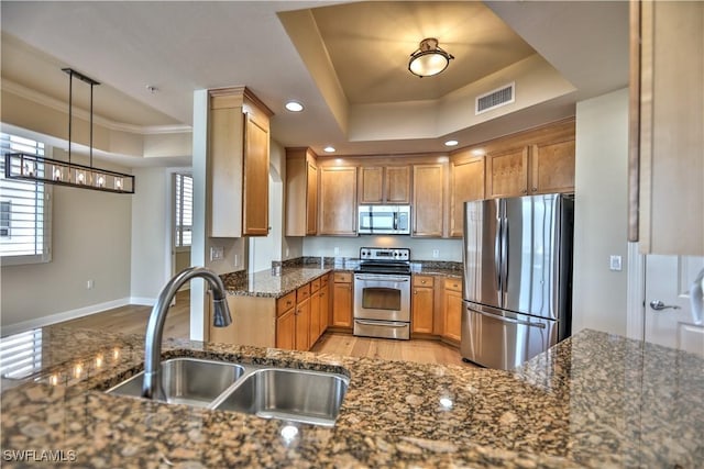 kitchen featuring a raised ceiling, appliances with stainless steel finishes, sink, and decorative light fixtures