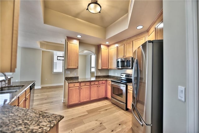 kitchen with sink, light hardwood / wood-style flooring, a raised ceiling, and appliances with stainless steel finishes