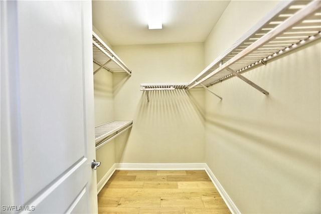 walk in closet featuring hardwood / wood-style flooring