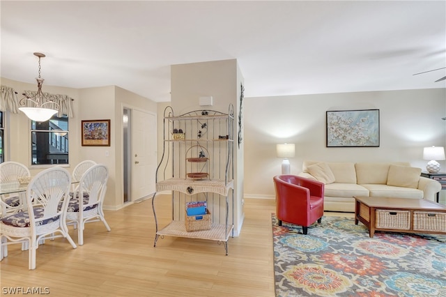 living room with ceiling fan and light hardwood / wood-style flooring