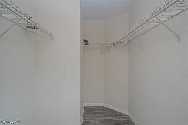 walk in closet featuring dark hardwood / wood-style floors