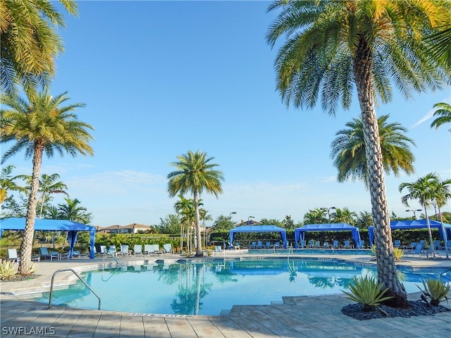 view of pool featuring a patio