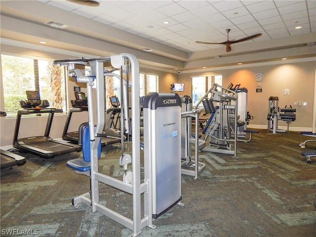 exercise room with dark colored carpet, ceiling fan, a raised ceiling, and a paneled ceiling