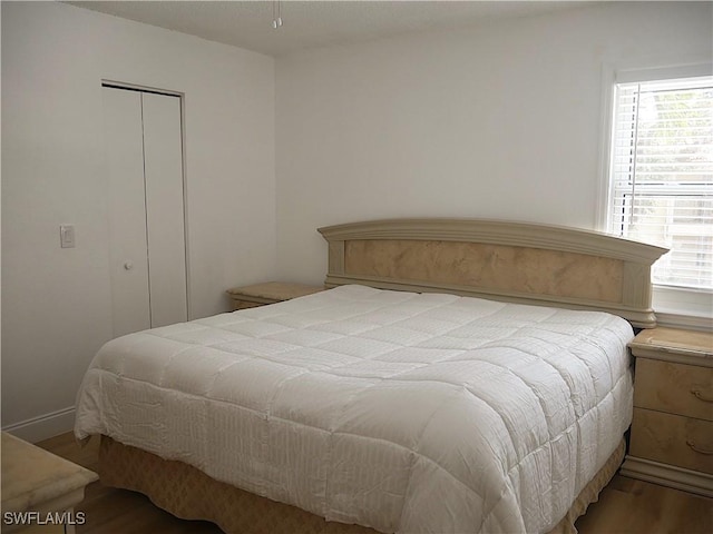 bedroom with wood finished floors and a closet