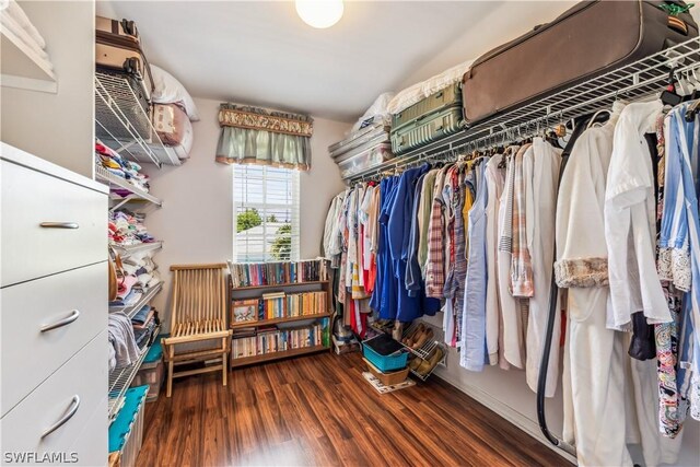 spacious closet with dark hardwood / wood-style floors