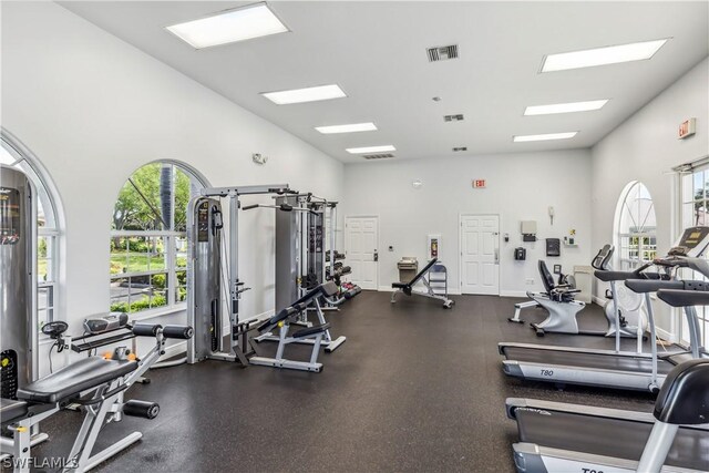 exercise room featuring plenty of natural light and a high ceiling