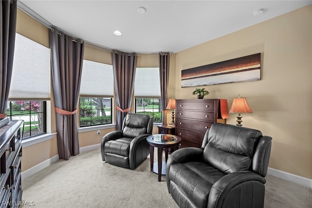 living area featuring light colored carpet