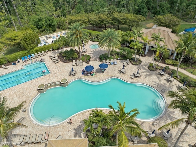 view of pool with a patio