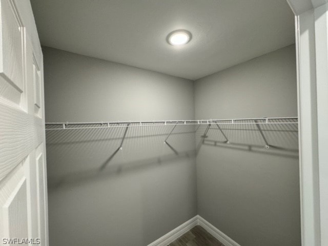 spacious closet featuring wood-type flooring