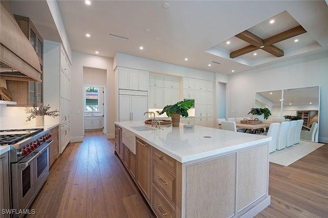 kitchen featuring a large island, premium appliances, sink, custom exhaust hood, and light hardwood / wood-style flooring