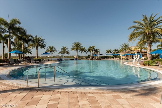 view of pool with a patio area