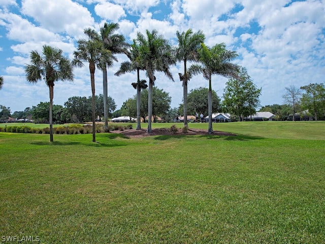 view of property's community with a lawn