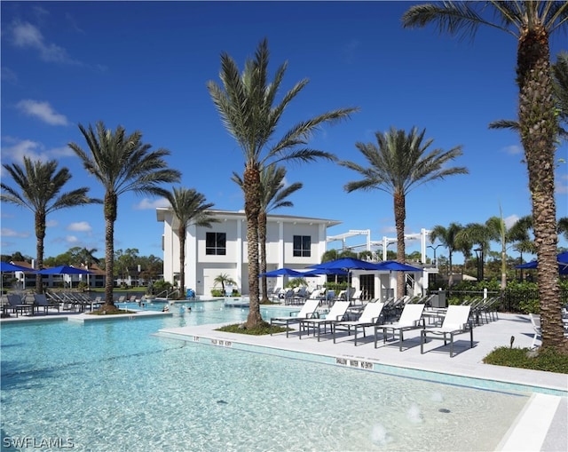 view of pool with a patio area