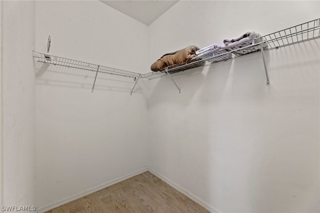 walk in closet featuring light wood-type flooring