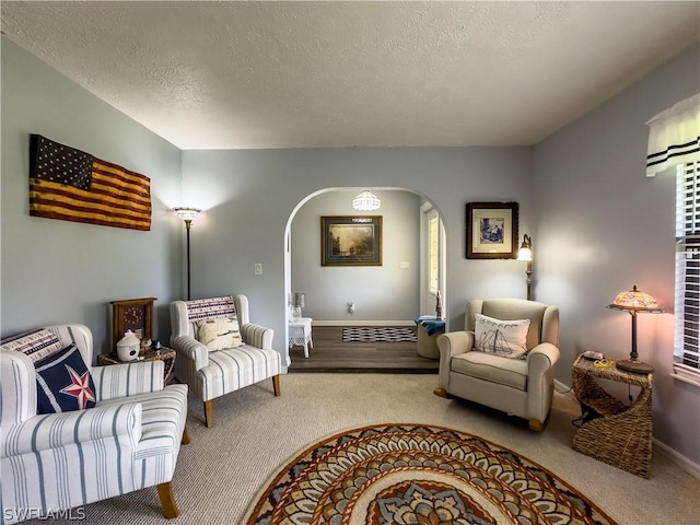 sitting room featuring carpet floors and a textured ceiling