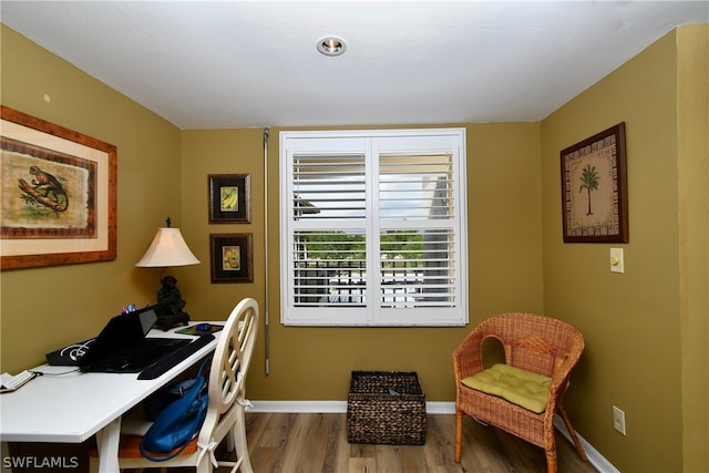 office space featuring hardwood / wood-style flooring