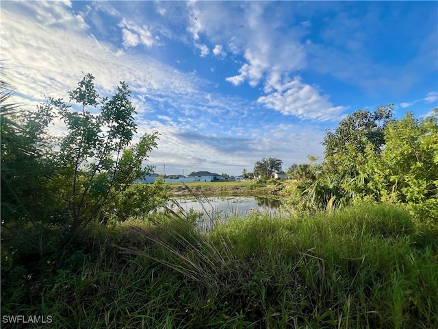 614 NE 12th St, Cape Coral FL, 33909 land for sale