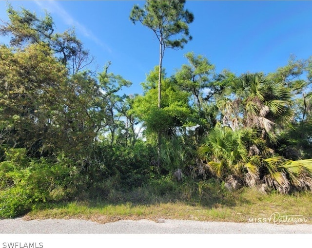 17108 Greenan Ave, Port Charlotte FL, 33948 land for sale