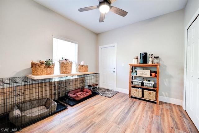 miscellaneous room featuring ceiling fan and light wood-type flooring