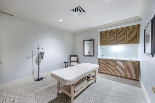 office featuring sink, crown molding, and light colored carpet