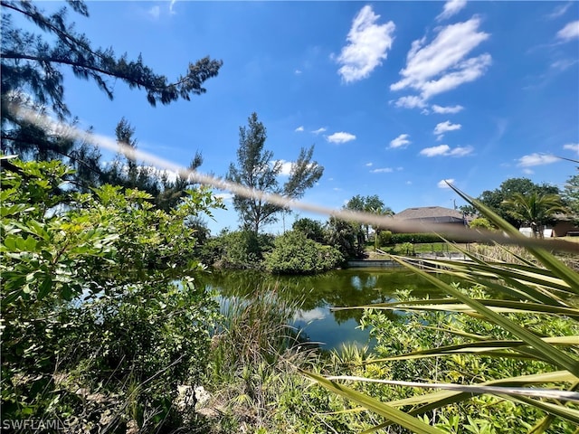 2234 NW 2nd Ave, Cape Coral FL, 33993 land for sale