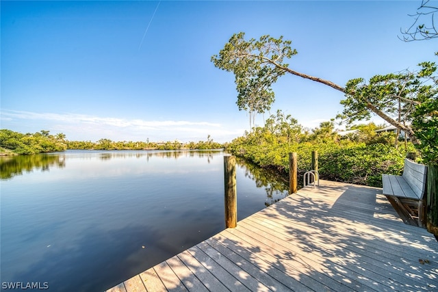 dock area with a water view