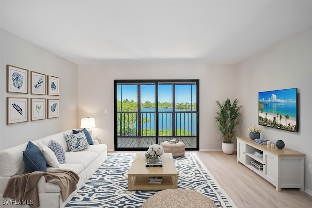 living room with light hardwood / wood-style floors