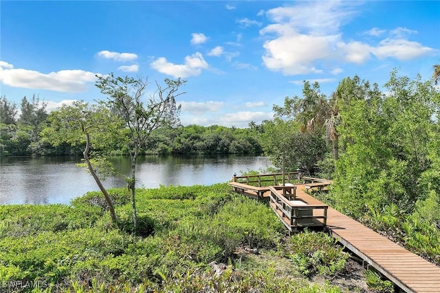 27820 Riverwalk Way, Bonita Springs, FL 34134 - water view with a dock and a heavily wooded area