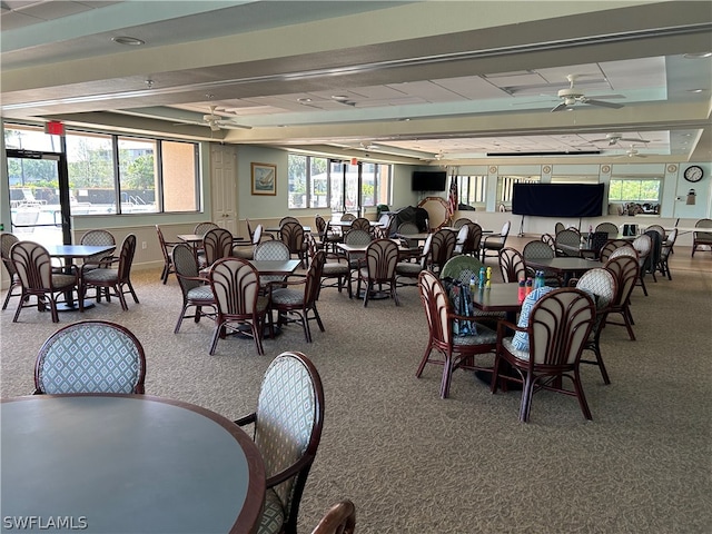 dining space featuring a healthy amount of sunlight, carpet flooring, and ceiling fan