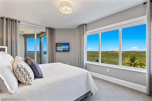 bedroom with carpet and baseboards