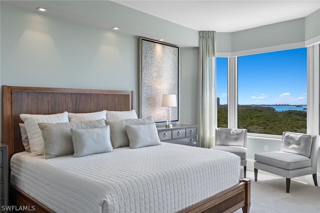 view of carpeted bedroom