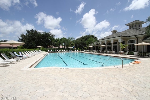 view of pool featuring a patio area