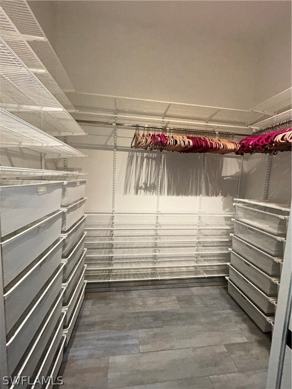 view of walk in closet