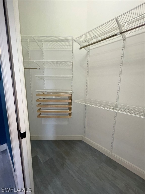 walk in closet with dark hardwood / wood-style flooring