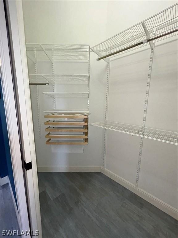 walk in closet with wood finished floors