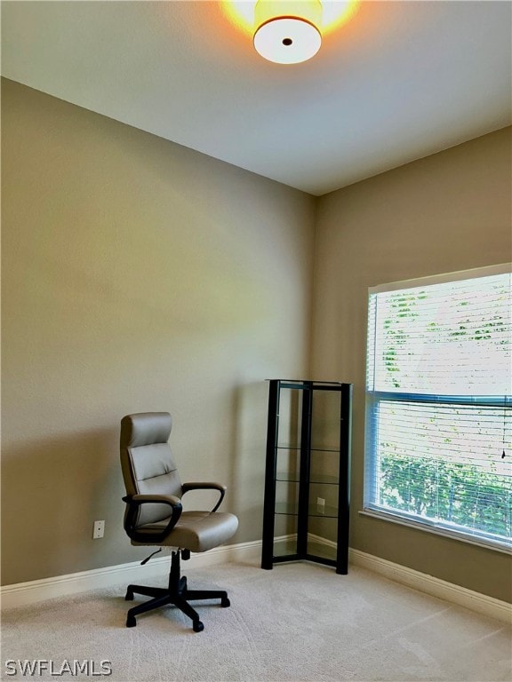 sitting room featuring light carpet