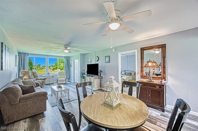 dining space with ceiling fan and light wood-type flooring