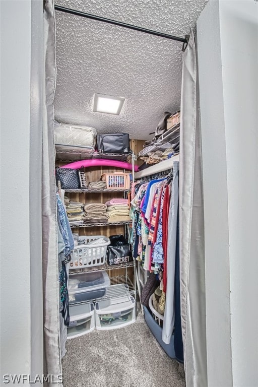 walk in closet with carpet flooring