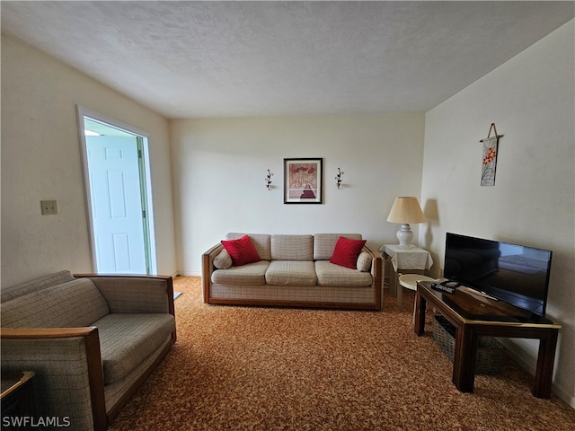 living room with carpet floors and a textured ceiling