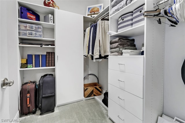 spacious closet with light colored carpet