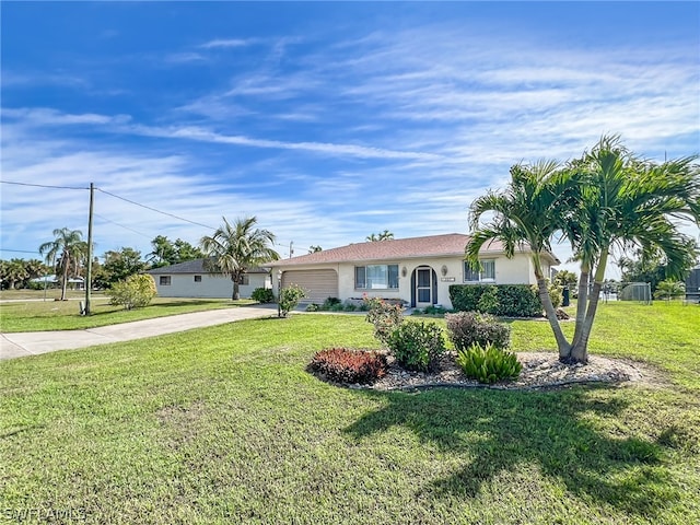 ranch-style home featuring a front lawn